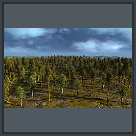 vegi