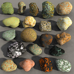 Lichen Stones