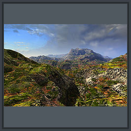 natur