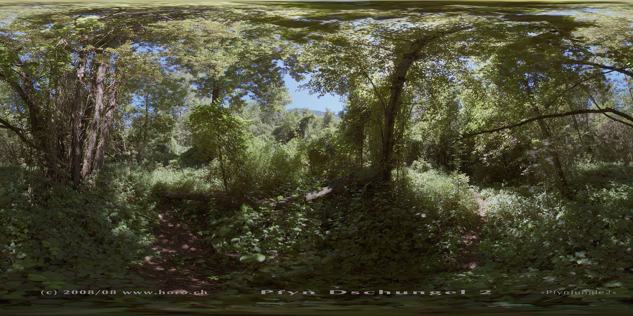 Pfynjungle 2